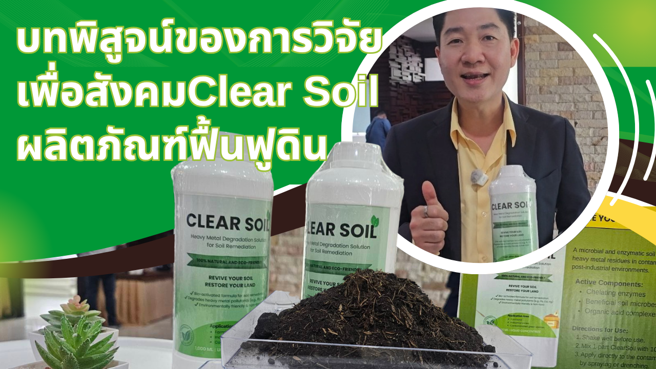 “เคลียร์ซอย” นวัตกรรมฟื้นฟูดินหลังน้ำท่วม ฝีมือ ม.ธรรมศาสตร์ – วช. หนุนวิจัยแก้ปัญหาโลหะหนัก ยกระดับผลผลิตเกษตรไทย