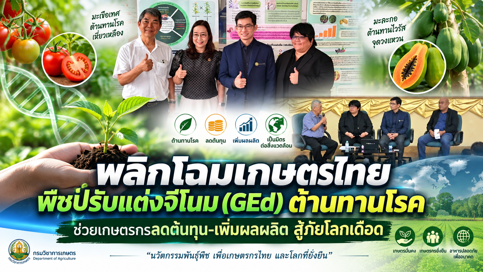พลิกโฉมเกษตรไทย! พืชปรับแต่งจีโนม GEd ต้านโรค ลดต้นทุน เพิ่มผลผลิต สู้ภัยโลกเดือด